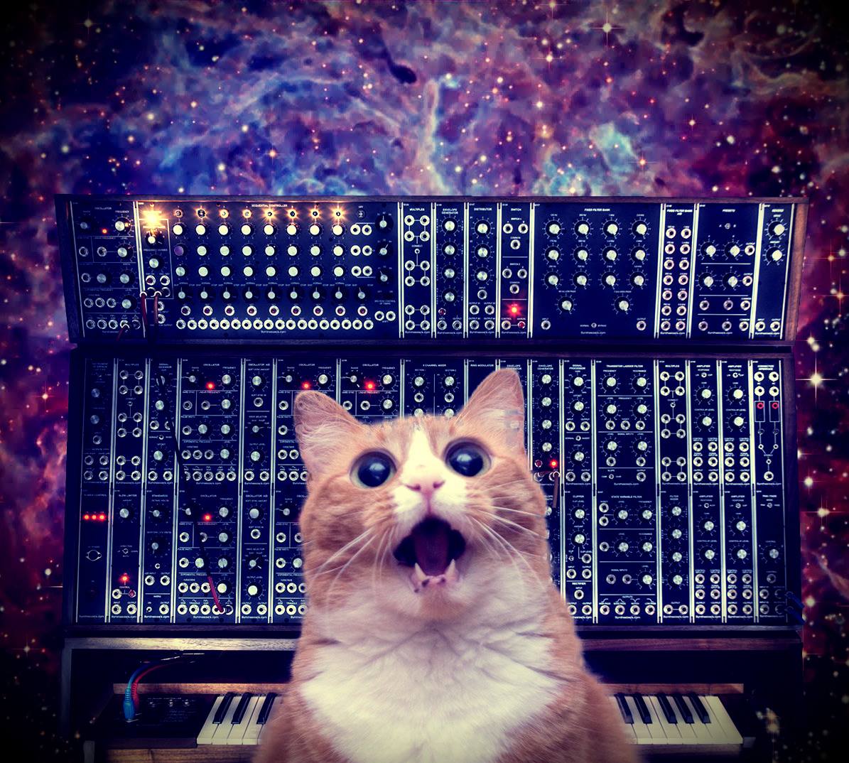 http://www.letsbebrief.co.uk/letsbebrief-content/uploads/cats_on_synthesizers_in_space_12.jpg