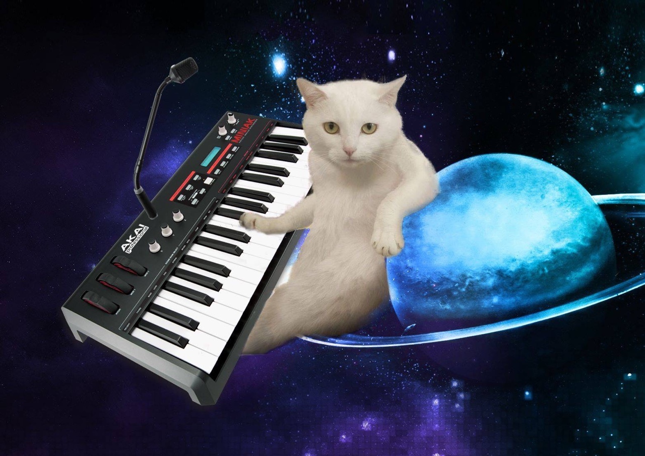 Муз видео с днем. Музыкальный кот. Кот на синтезаторе. Кот поет. Космический синтезатор.
